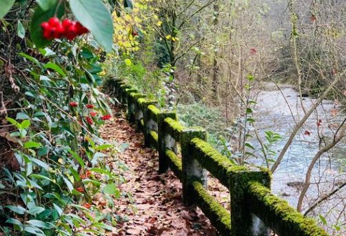 RETIRO EN EL BALNEARIO DE CARRANZA (VIZCAYA) – RETIRO “SANANDO LA HERIDA DE ABANDONO Y LA DEPENDENCIA EMOCIONAL EN LA PAREJA CON HO’OPONOPONO Y SISTÉMICA” – DEL VIERNES 12 AL DOMINGO 14 DE DICIEMBRE DE 2025