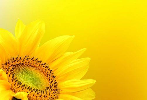 OFERTA 3 PACKS: BÁSICO, PREMIUM Y PLATINUM – PRECIO: ANTES: 285€ – EN OFERTA HASTA EL 31.03.2026: 195€